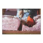 R-24 Pink Next Gen Fiberglas Insulation - 14 3/4" x 47" x 5 1/2" - Covers 33.7 sq. ft - Image 3
